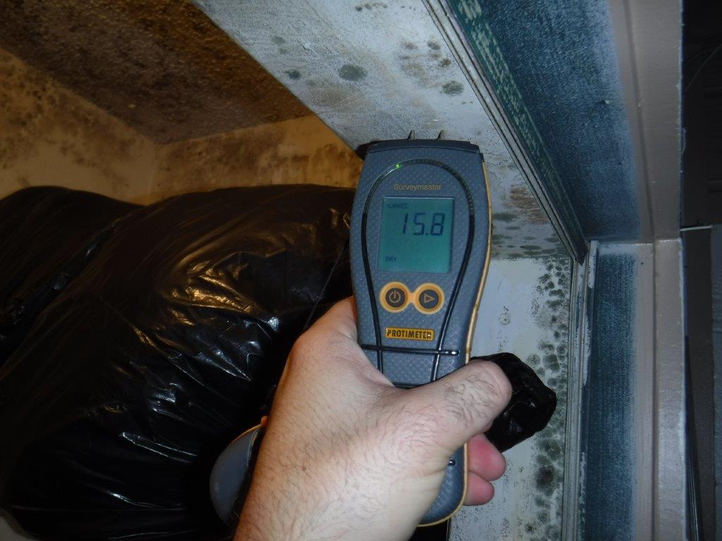 Mold Inspection | Clear Property Inspections