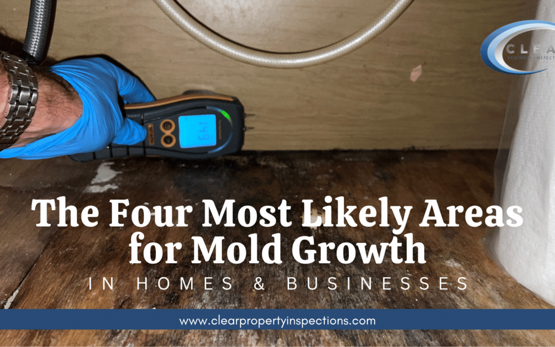 Don’t Let Mold Crash The Party